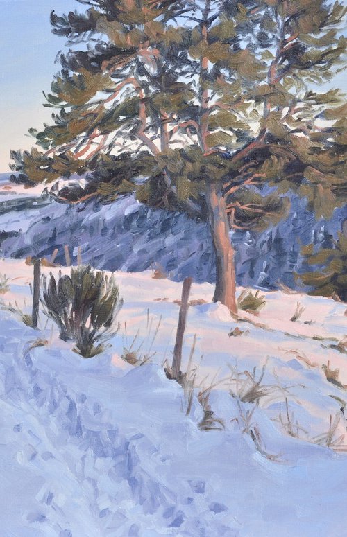 Twilight over the Mézenc by ANNE BAUDEQUIN