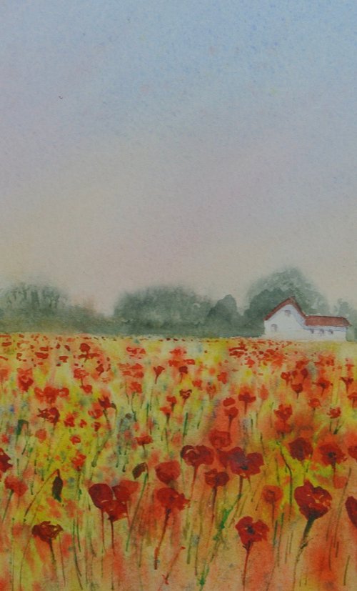 Poppy field at Sunrise - Original Watercolour by JANE  DENTON