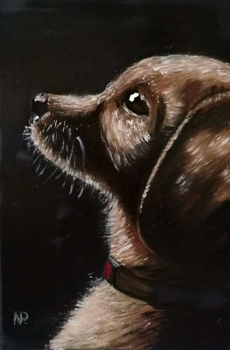 Thanks God for my new home, dog, portrait, small oil painting by Nataliia Plakhotnyk