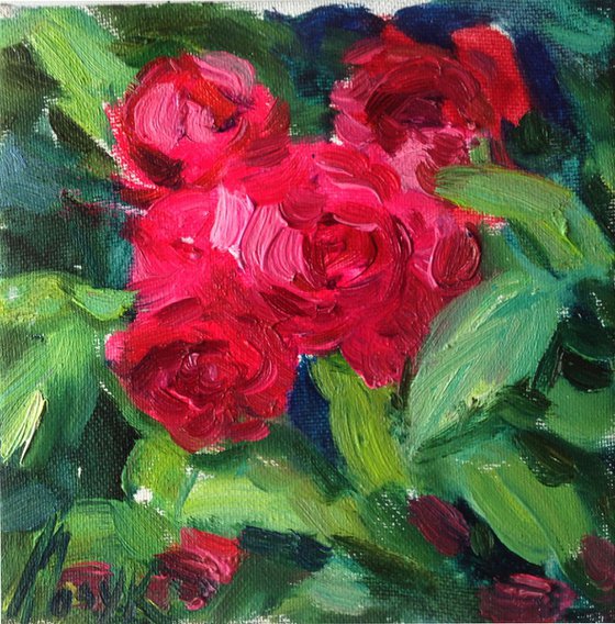 Roses over green. Spring Flowers