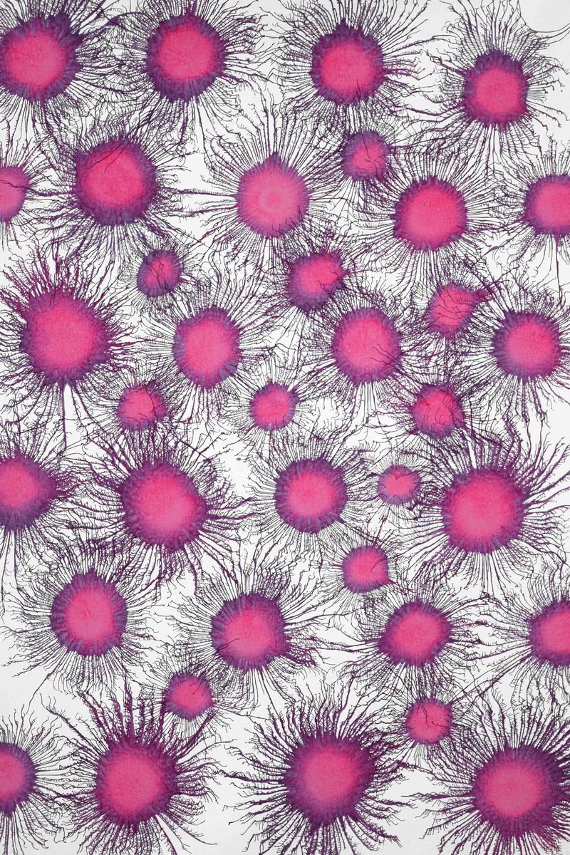 Abstract Acrylic Painting By Sumit Mehndiratta, 33 X 47", Neoflora Series No. 06, Original Artwork