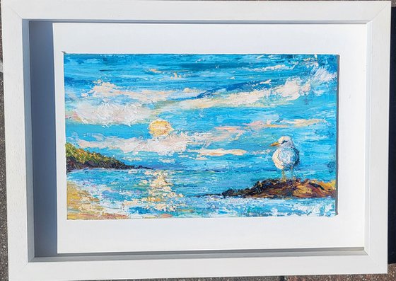 Seagull Sunrise