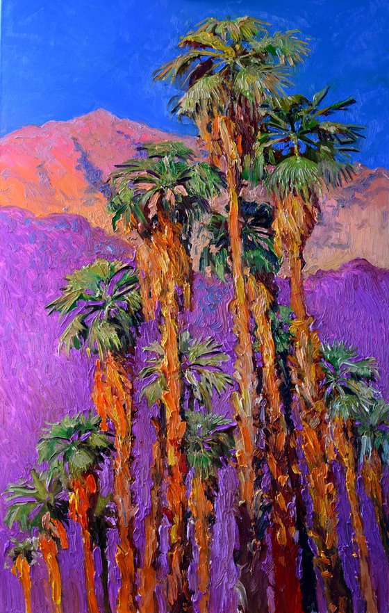 Desert Palm Trees