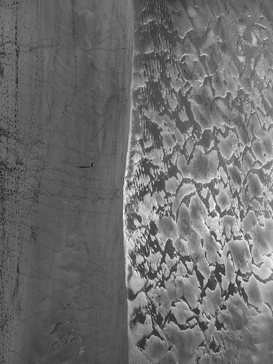 Photorealistic Landscape Photograph By Jacek Falmur, 18 X 24, The Silver Beach, Original Artwork