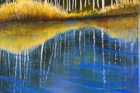 The Mirror of trees
