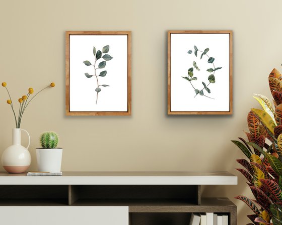 Two eucalyptus branches. Original watercolor artwork.