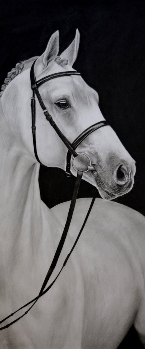 White Horse #2 by Mariam Darchiashvili
