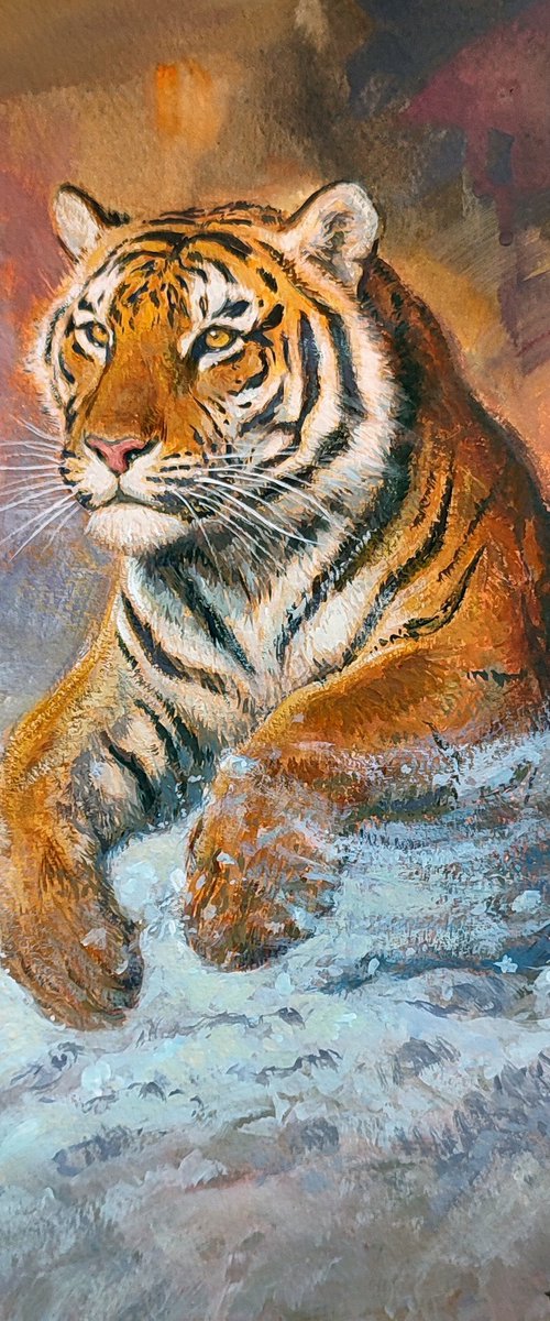 Siberian tiger by Gabriel Hermida