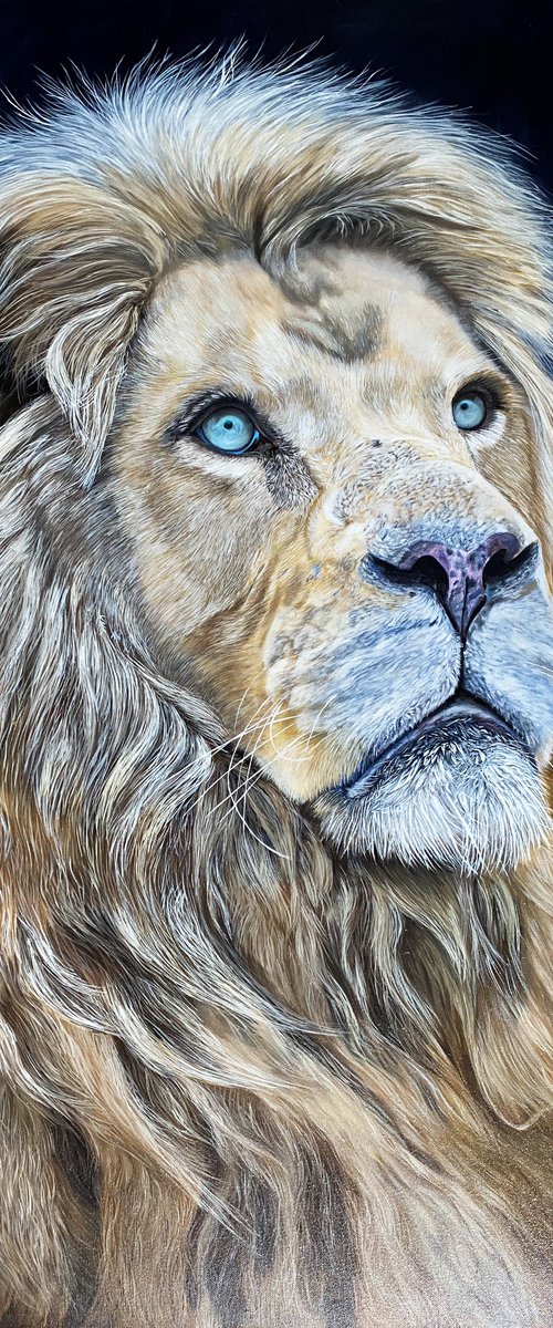 White Lion by Martyna Maik