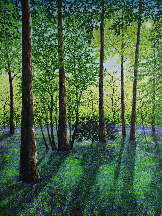 Springtime Shadows