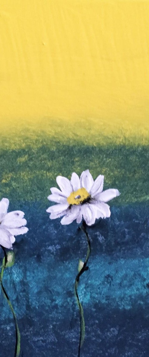 Daisies by Carolyn Shoemaker (Soma)