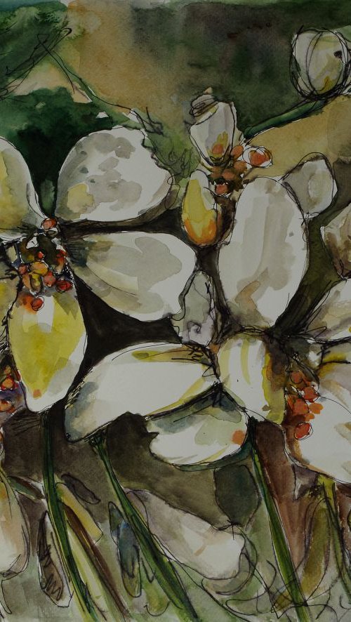 Spring flowers by Beta Sudnikowicz