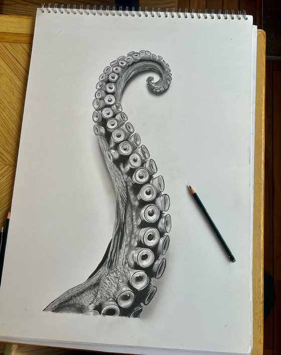 Octopus Arm