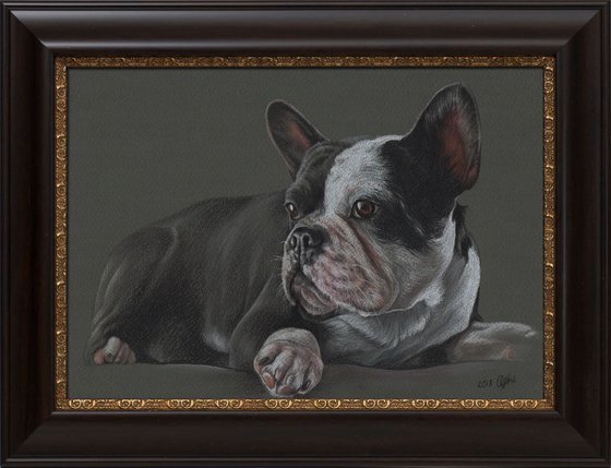 Colorful pastel portrait of french bulldog