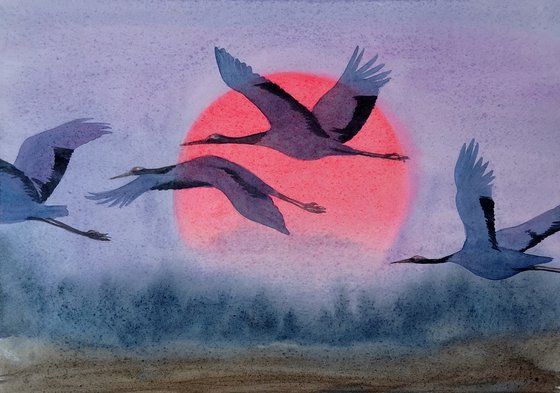 Flock of Japanese Red Crowned Cranes flying at sunrise