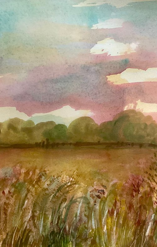 Grassy meadow, Bourton, Dorset by Samantha Adams