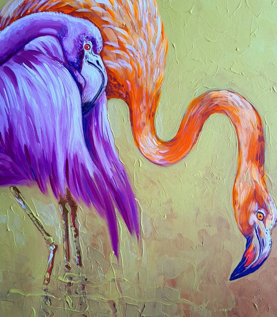 Flamingo.