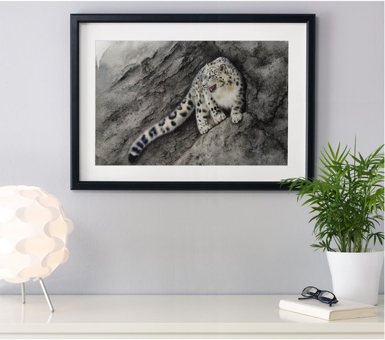 King of the Mountains - Snow leopard -  Snow Leopard on Mountain side