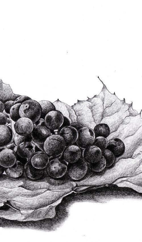 BLACK GRAPES by Nives Palmić