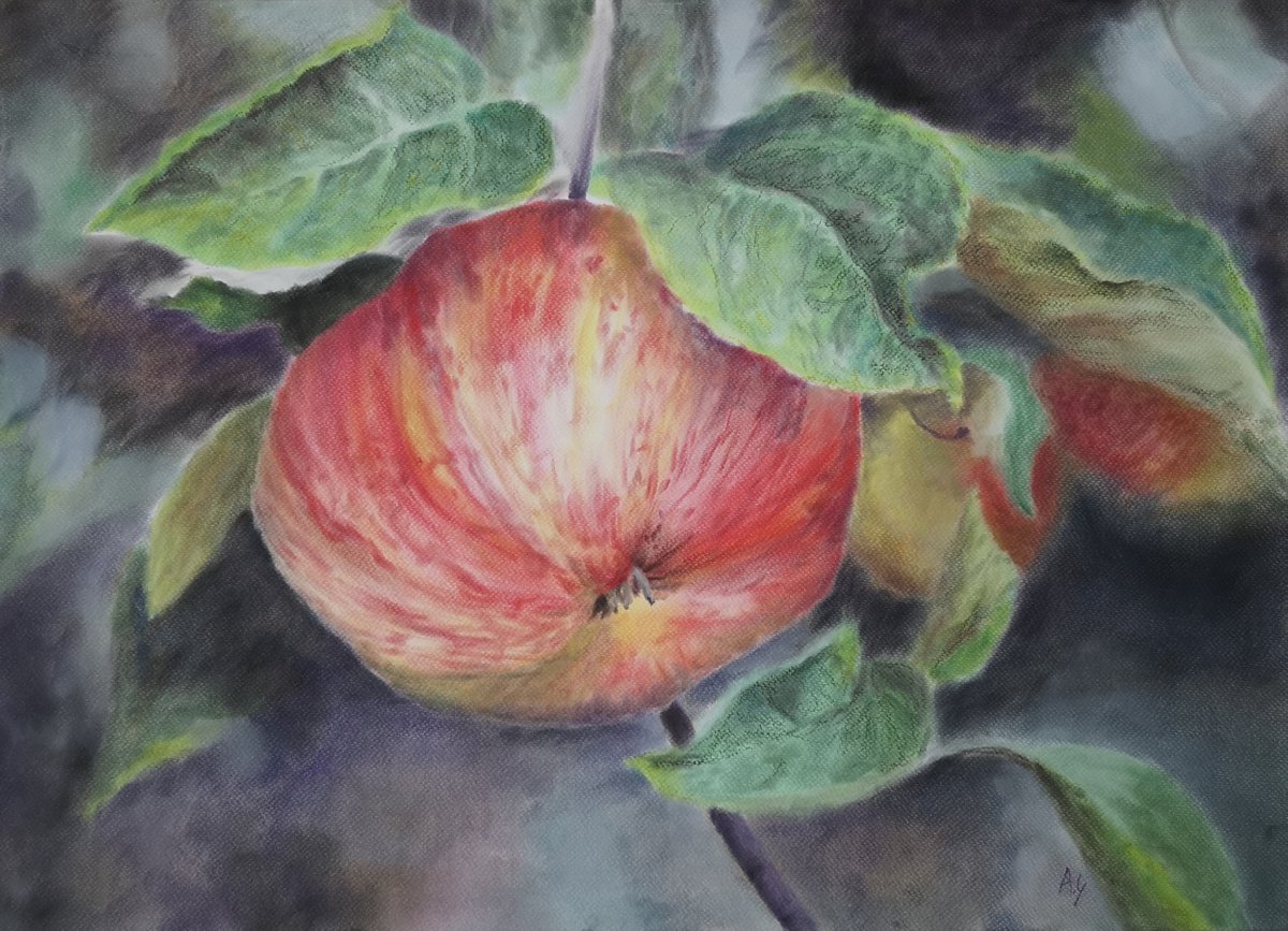 Impressionistic Botanical Pastel Drawing By Aneta Gajos, 28 X 20, Apple, Original Artwork