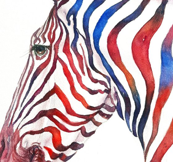 Red and Blue Stripes