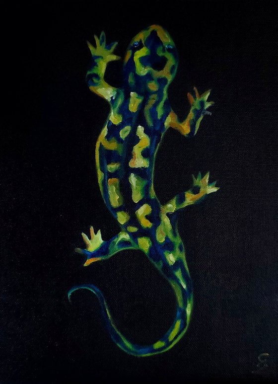 The leopard gecko