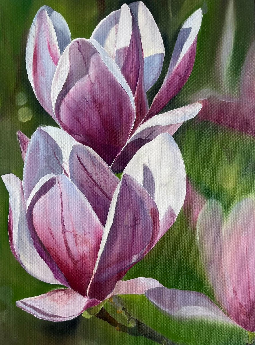 Photorealistic Botanical Oil Painting By Myroslava Denysyuk, 9 X 13", Magnolia Flowers 2, Original Artwork