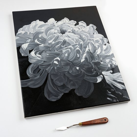 Chrysanthemum