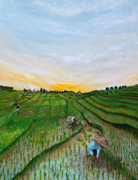 Rice Paddy Acrylic Painting By Andrew Cottrell Artfinder,Smoke Cigarette Bad Girl Girl Smoking Drawing Easy
