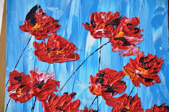 Poppies On Blue