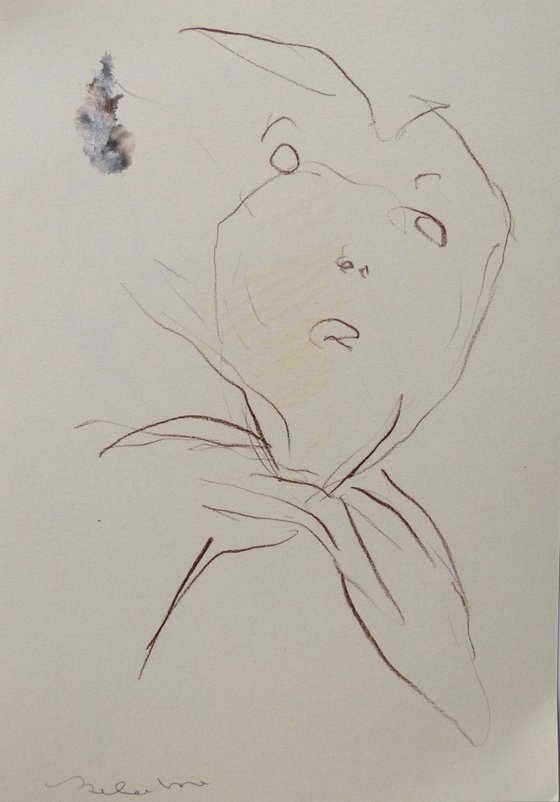 Portrait 19-17