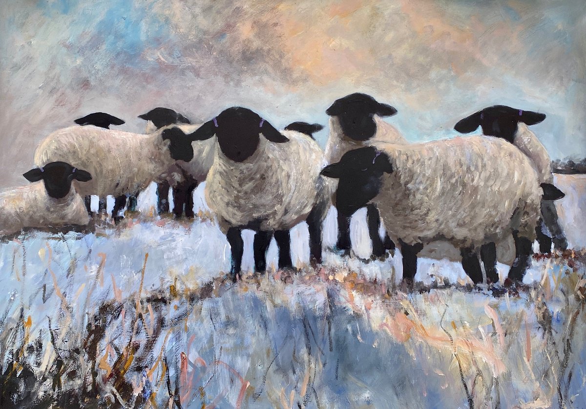 Black Face Suffolk Sheep Winter by Teresa Tanner