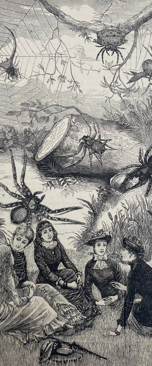 Girls and spiders picnic by Tudor Evans