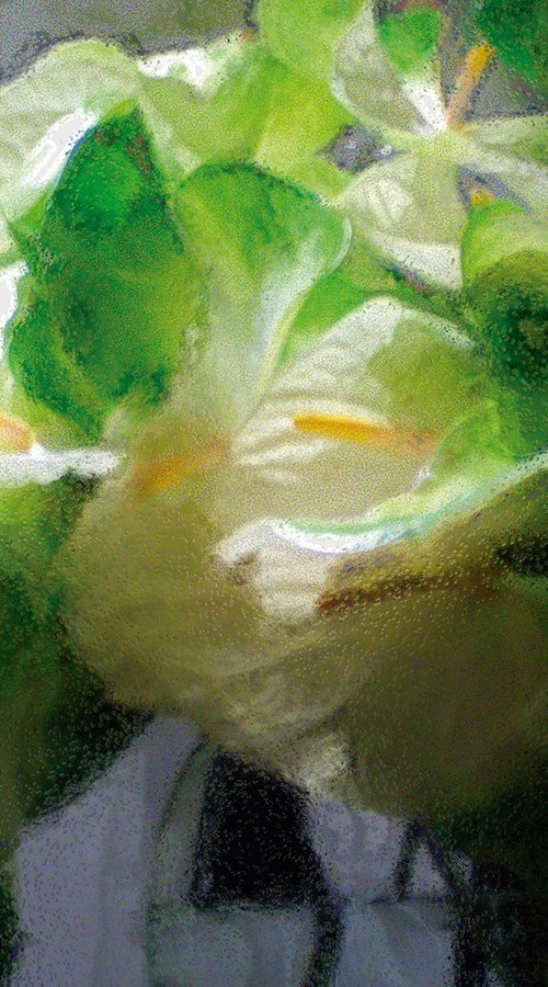 Pecera con flores by Javier Diaz