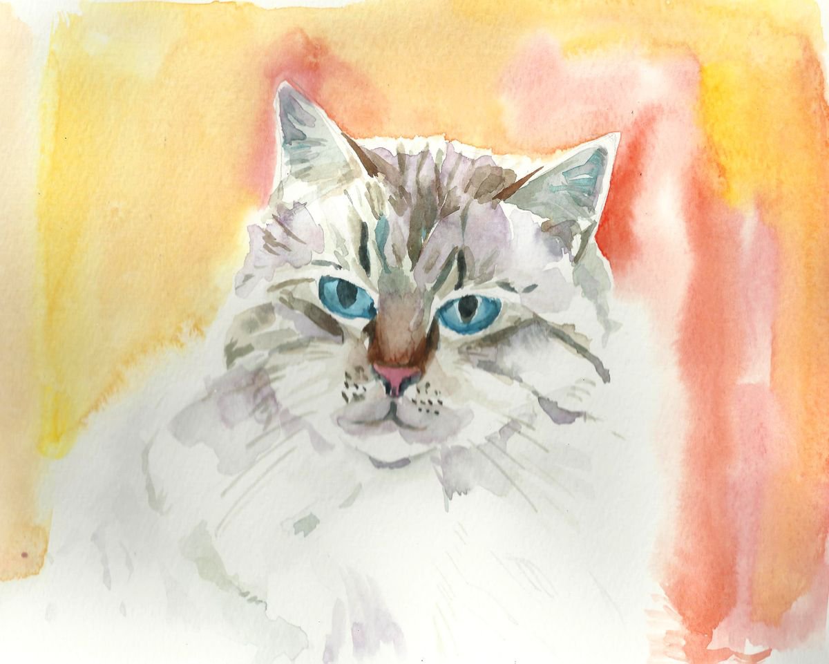 Cat with blue eyes by Mary Stubberfield