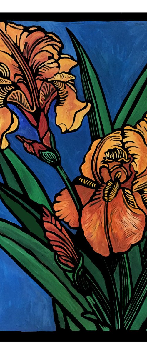 Copper Iris by Laurel Macdonald