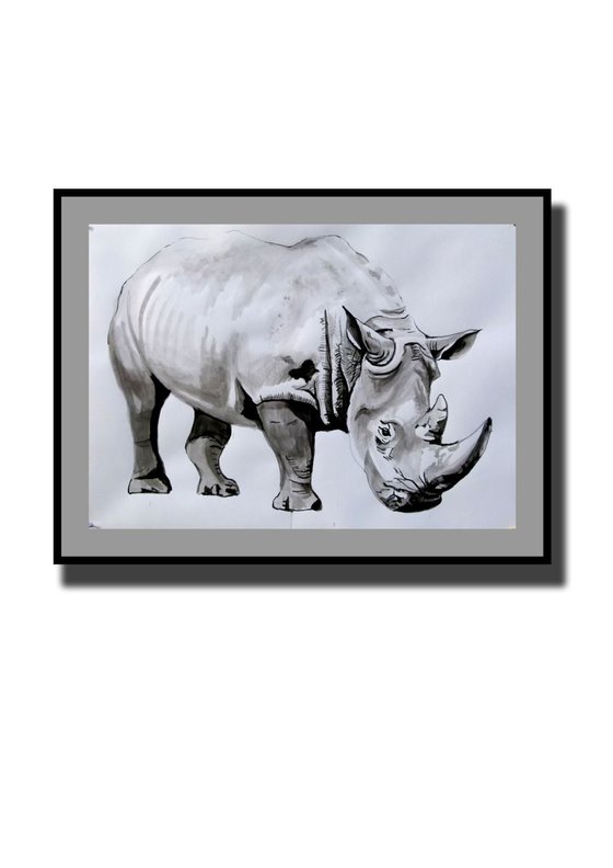 Rhinoceros