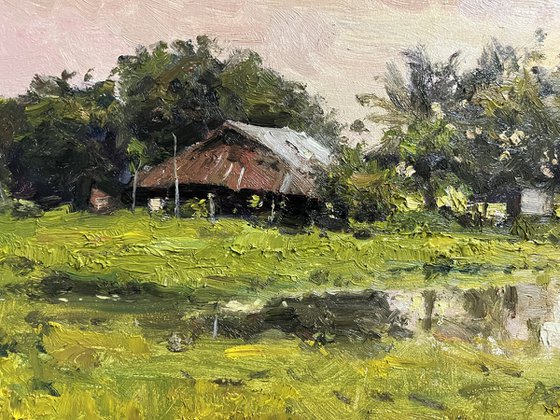 Twilight Rice Fields
