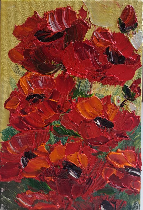 Poppies miniature