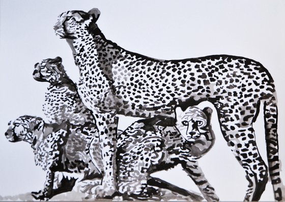 Wild cats / 42 x 29.7 cm