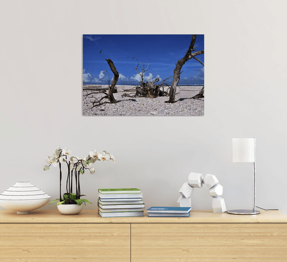 Life & Death - Metal Print - Ready To Hang - Islands - Federated States of Micronesia