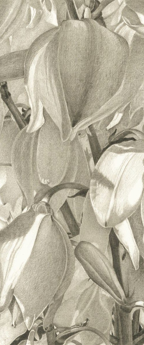 BLOSSOM by Nives Palmić