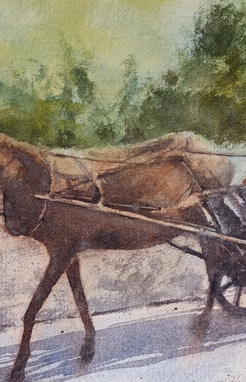 Scena d'epoca / vintage scene - carro trainato da un mulo / cart pulled by a mule by Tollo Pozzi