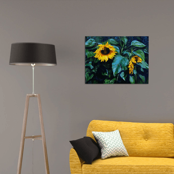 Sunflowers in shadow