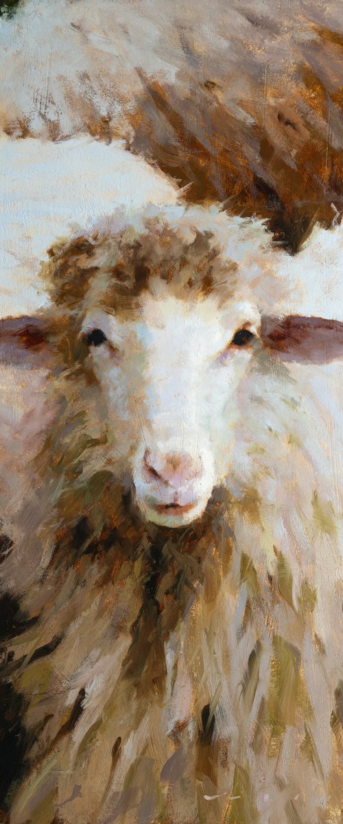 "Ewe In Stillness" by ROSTYSLAV MALYSH
