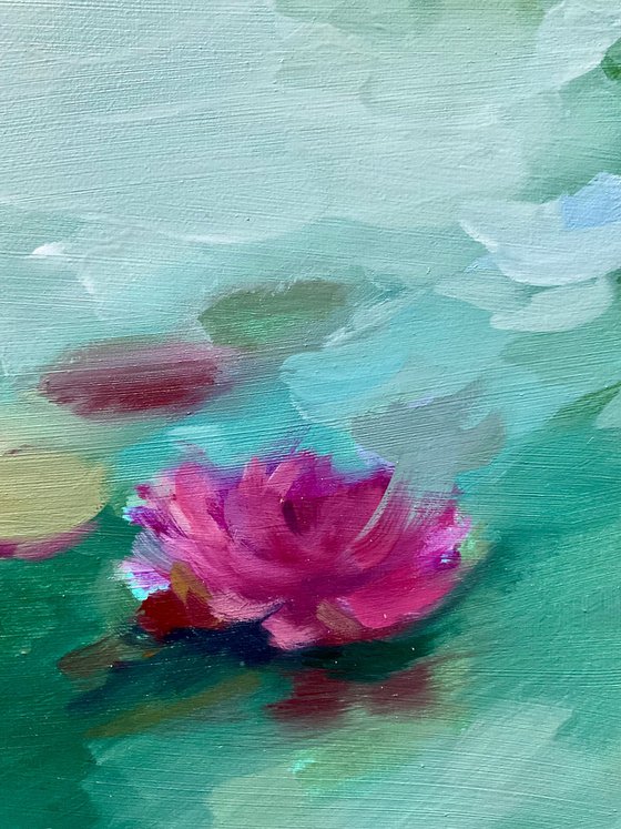 TENDER WATER LILY