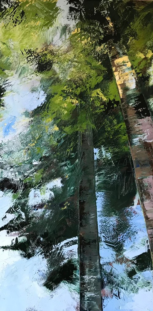 Looking Beyond by Belinda Reynell