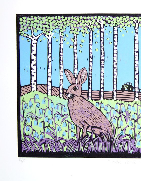Hare and Bluebells