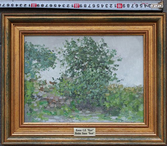 Bush