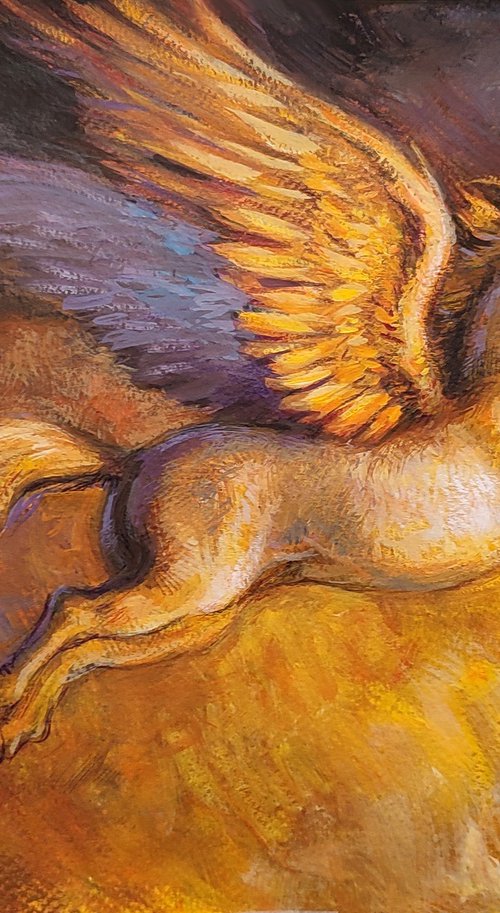 Pegasus by Gabriel Hermida